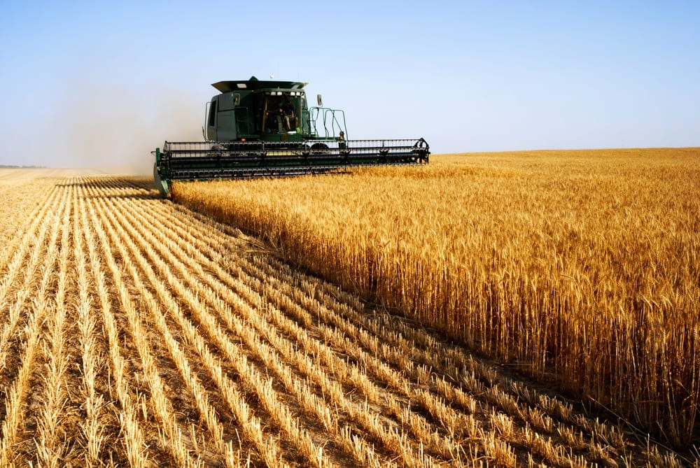 [tractor mowing wheat]
